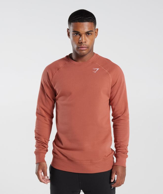 Men Crest Sweatshirt 8004D1053 Gymshark Persimmon Red