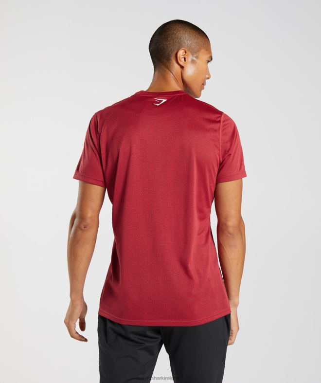 Men Sport T-Shirt 8004D725 Gymshark Salsa Red/Black Marl