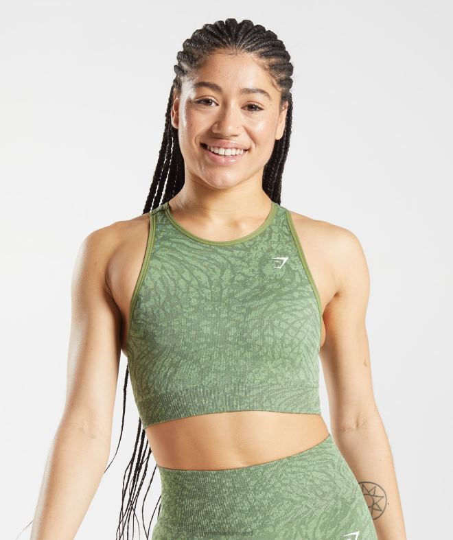 Women Adapt Animal Seamless Sports Bra 8004D203 Gymshark Wild | Iguana Green