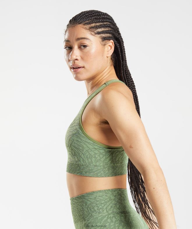 Women Adapt Animal Seamless Sports Bra 8004D203 Gymshark Wild | Iguana Green