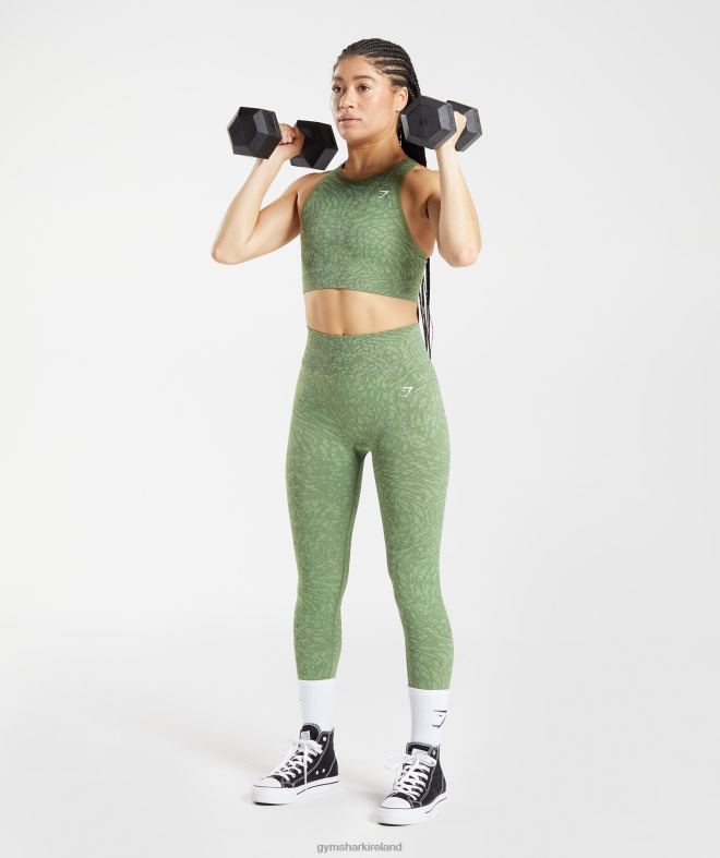 Women Adapt Animal Seamless Sports Bra 8004D203 Gymshark Wild | Iguana Green