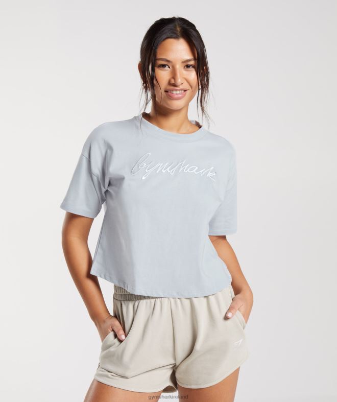 Women Embroidered Graphic Midi T-Shirt 8004D486 Gymshark River Stone Grey