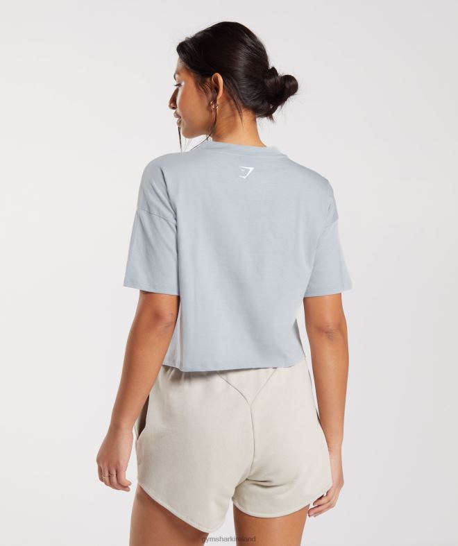 Women Embroidered Graphic Midi T-Shirt 8004D486 Gymshark River Stone Grey